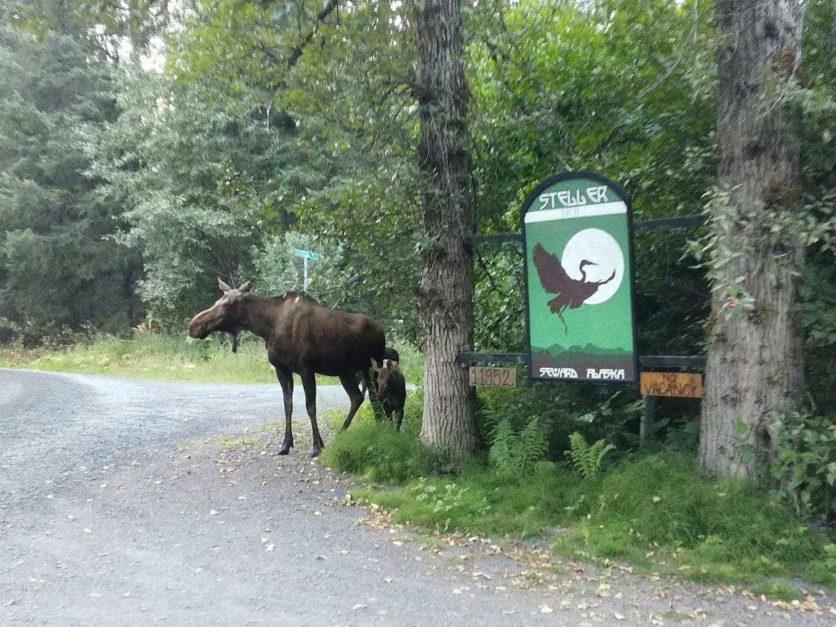 Steller Inn Seward Kültér fotó